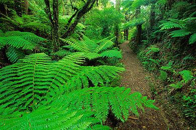 《霍格沃茨之遗》官方PC版系统配置要求公布